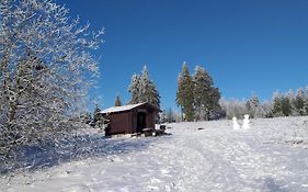 Aussicht